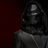 Felis Phasma