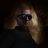 Armtoe