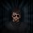 Assassin's Vengence