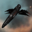 Polaris Enigma Frigate