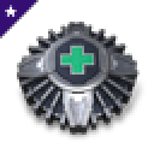 Asine's Modified Assault Damage Control